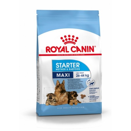 Royal Canin Dog Maxi Starter 4 Kg