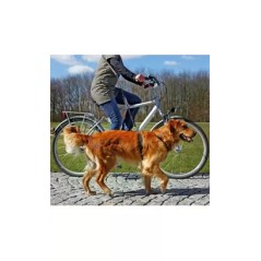 Trela para cão Trixie Bicycle and Jogging Leash | 1 Unidade