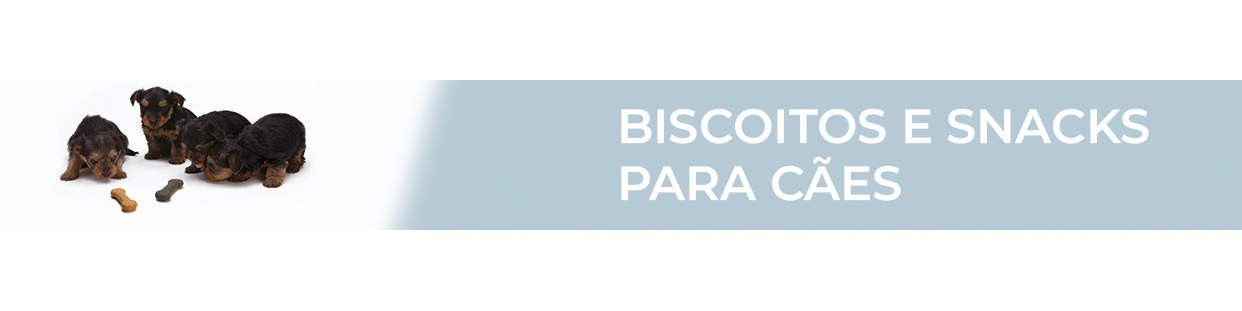 Biscoitos para Cães, para Treino, para os Dentes, Naturais