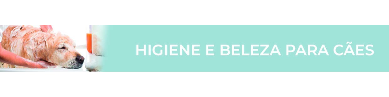 Higiene e beleza para cães. Aqui o seu cão irá parecer um gato. Miauu.